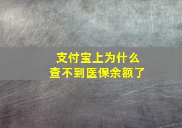 支付宝上为什么查不到医保余额了