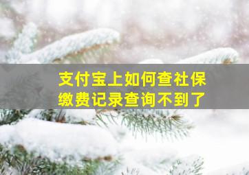 支付宝上如何查社保缴费记录查询不到了