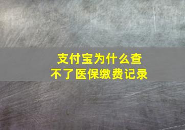 支付宝为什么查不了医保缴费记录