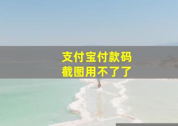 支付宝付款码截图用不了了