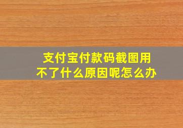 支付宝付款码截图用不了什么原因呢怎么办