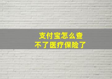 支付宝怎么查不了医疗保险了