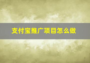 支付宝推广项目怎么做