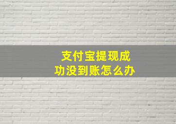 支付宝提现成功没到账怎么办