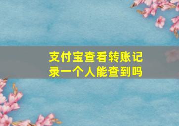 支付宝查看转账记录一个人能查到吗