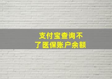 支付宝查询不了医保账户余额