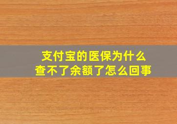 支付宝的医保为什么查不了余额了怎么回事