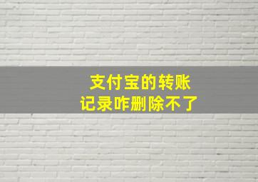 支付宝的转账记录咋删除不了