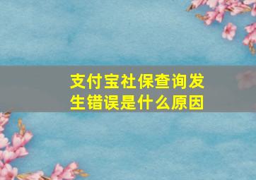 支付宝社保查询发生错误是什么原因