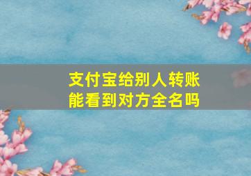 支付宝给别人转账能看到对方全名吗