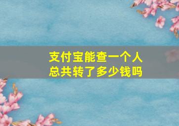 支付宝能查一个人总共转了多少钱吗