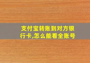 支付宝转账到对方银行卡,怎么能看全账号