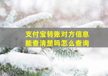 支付宝转账对方信息能查清楚吗怎么查询