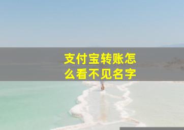 支付宝转账怎么看不见名字