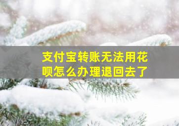 支付宝转账无法用花呗怎么办理退回去了