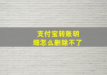 支付宝转账明细怎么删除不了