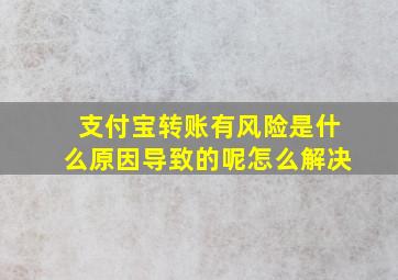 支付宝转账有风险是什么原因导致的呢怎么解决