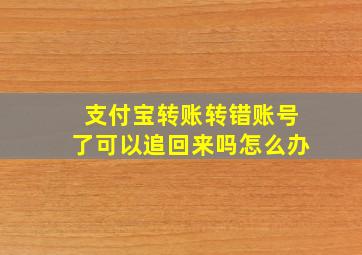 支付宝转账转错账号了可以追回来吗怎么办