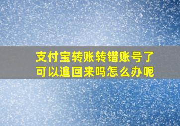 支付宝转账转错账号了可以追回来吗怎么办呢