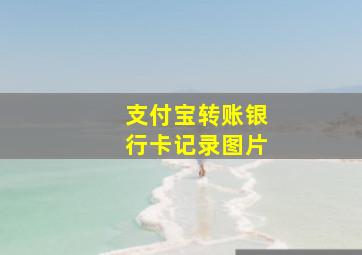 支付宝转账银行卡记录图片