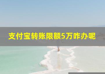 支付宝转账限额5万咋办呢