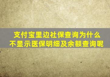 支付宝里边社保查询为什么不显示医保明细及余额查询呢