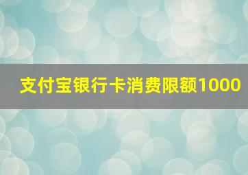 支付宝银行卡消费限额1000