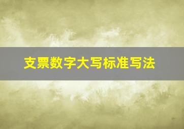 支票数字大写标准写法