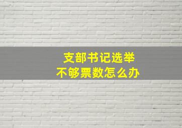 支部书记选举不够票数怎么办