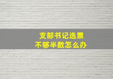 支部书记选票不够半数怎么办