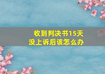 收到判决书15天没上诉后该怎么办