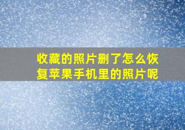 收藏的照片删了怎么恢复苹果手机里的照片呢