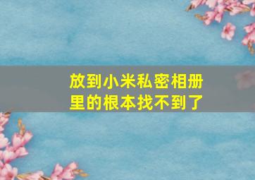 放到小米私密相册里的根本找不到了