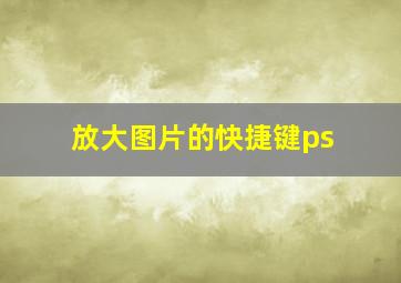 放大图片的快捷键ps