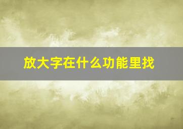 放大字在什么功能里找