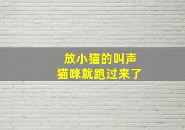 放小猫的叫声猫咪就跑过来了