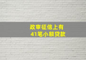 政审征信上有41笔小额贷款