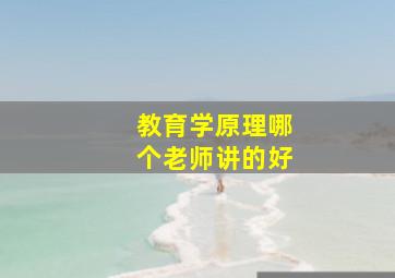 教育学原理哪个老师讲的好