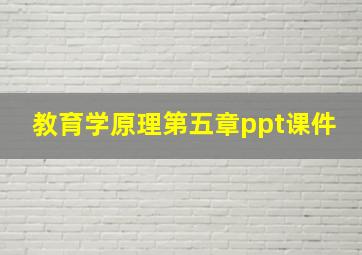 教育学原理第五章ppt课件