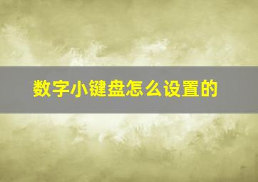 数字小键盘怎么设置的