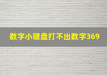 数字小键盘打不出数字369