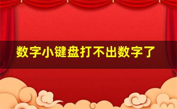 数字小键盘打不出数字了