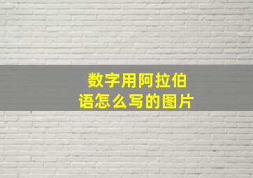 数字用阿拉伯语怎么写的图片