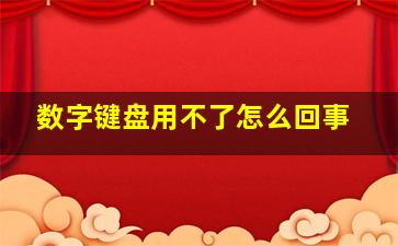 数字键盘用不了怎么回事