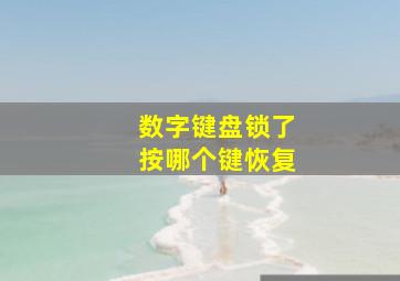 数字键盘锁了按哪个键恢复