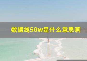 数据线50w是什么意思啊