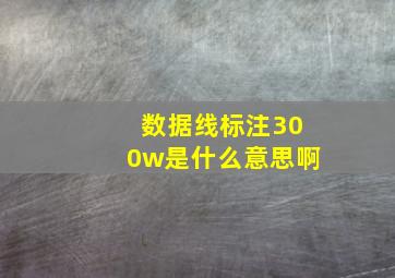 数据线标注300w是什么意思啊