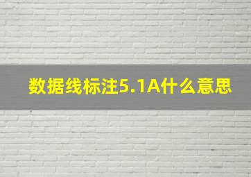 数据线标注5.1A什么意思