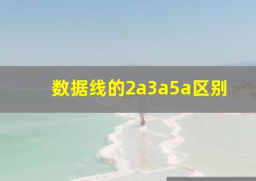 数据线的2a3a5a区别