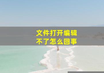 文件打开编辑不了怎么回事